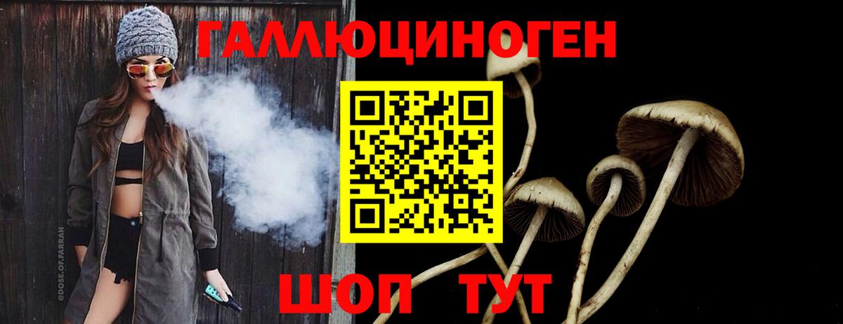 Галлюциногенные грибы Cubensis  Вход с VPN  Шатура  Галлюциногенные грибы MAGIC MUSHROOMS 